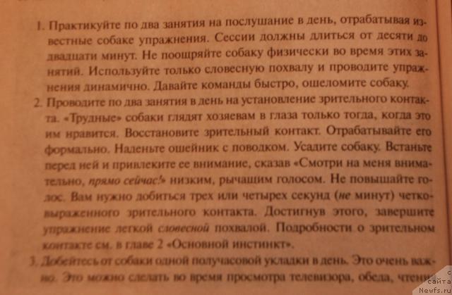 Фотография № 35657