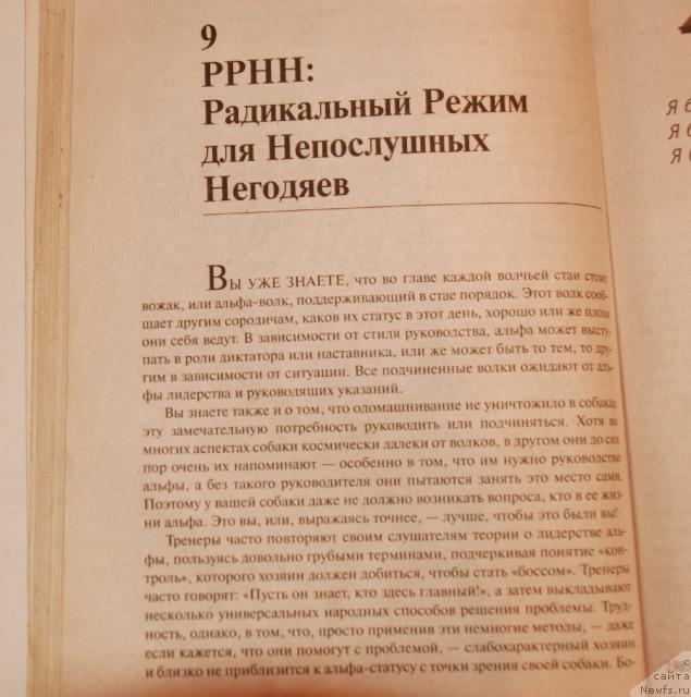 Фотография № 35661