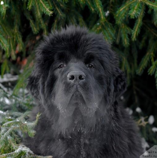 Фотография № 35670