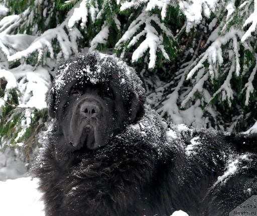 Фотография № 35671