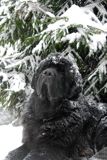 Фотография № 35673