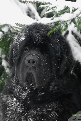 Фотография № 35674