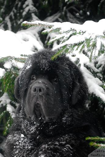 Фотография № 35676