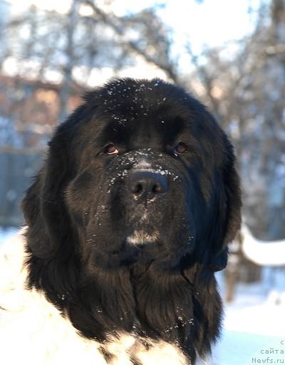 Фотография № 35678