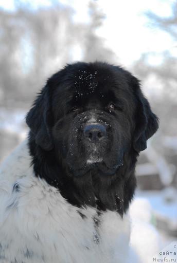 Фотография № 35679