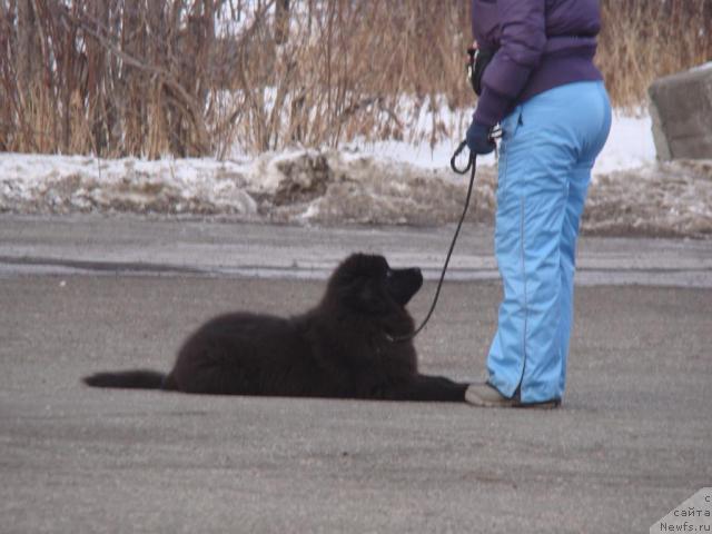 Фотография № 35689