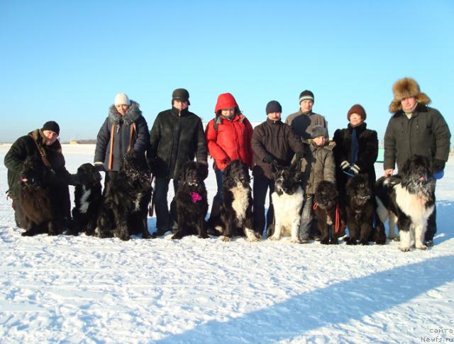 Фотография № 35698