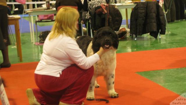 Фотография № 35700