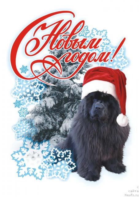 Фотография № 35713