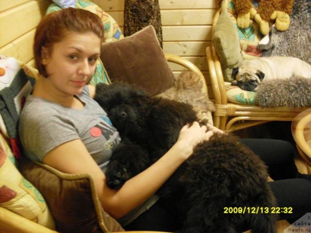 Фото: Наталья Бреева