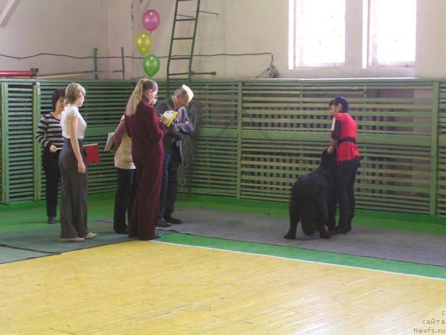 Фотография № 35747