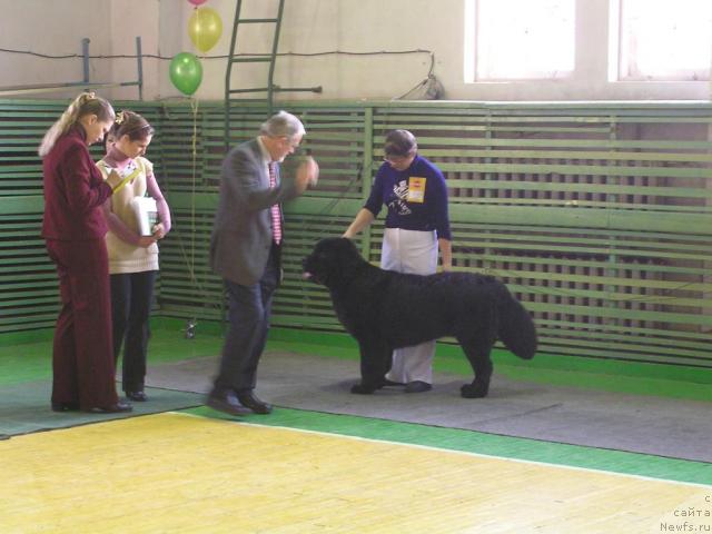 Фотография № 35748