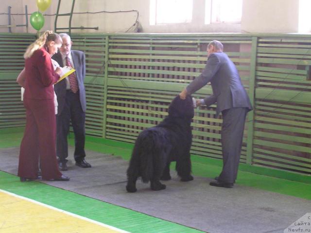 Фотография № 35749