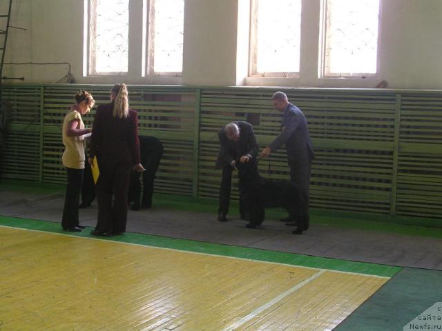 Фотография № 35750