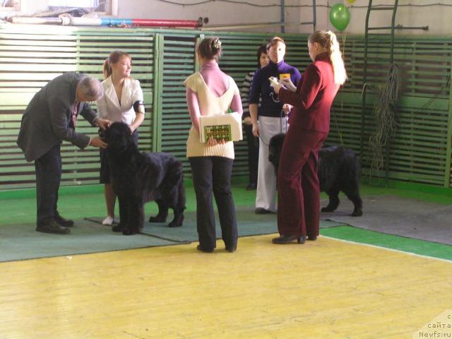 Фотография № 35754