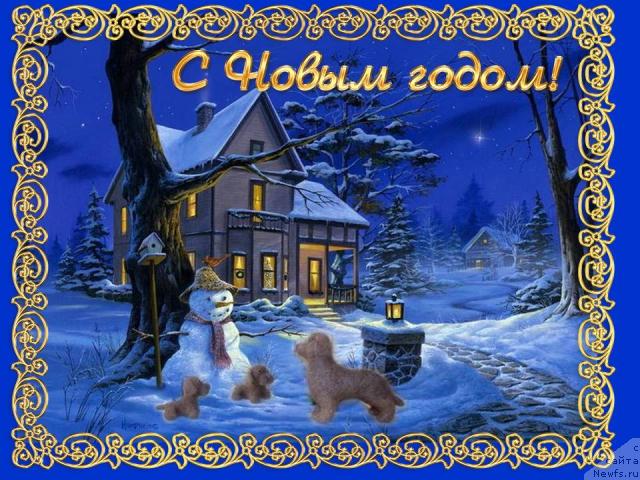 Фотография № 35778