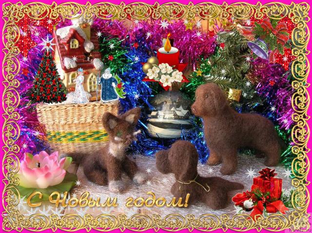 Фотография № 35779