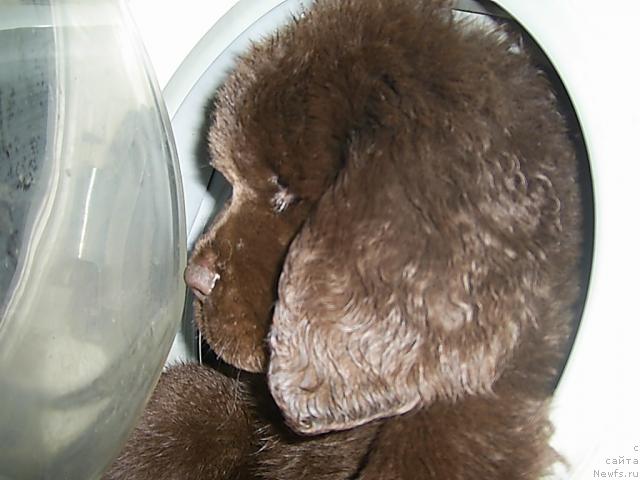 Фотография № 35781