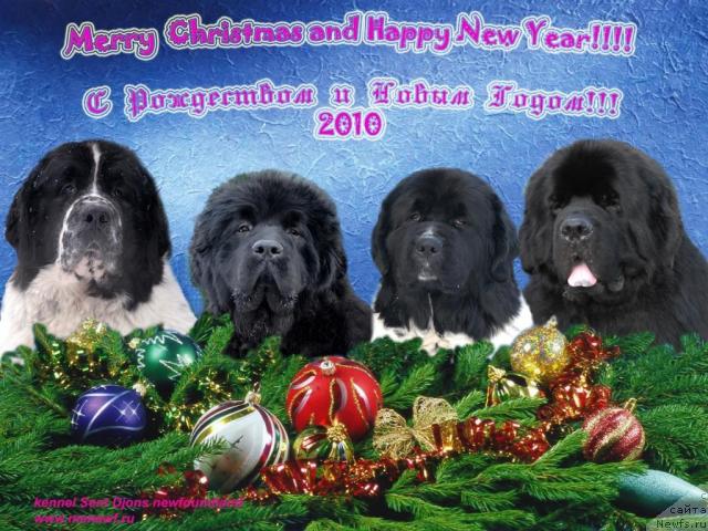 Фотография № 35785