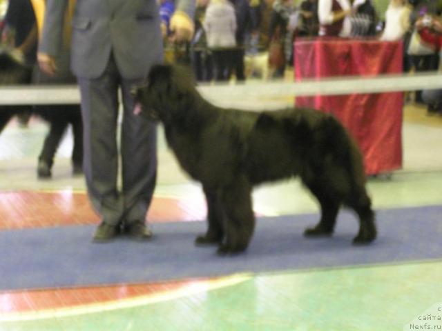 Фотография № 35823