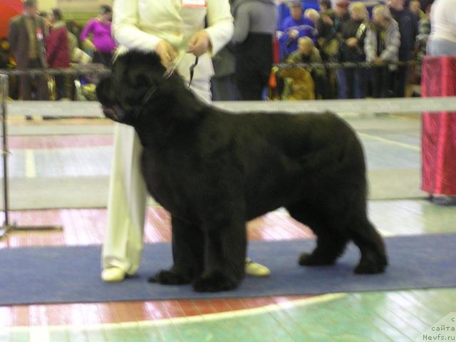 Фотография № 35825