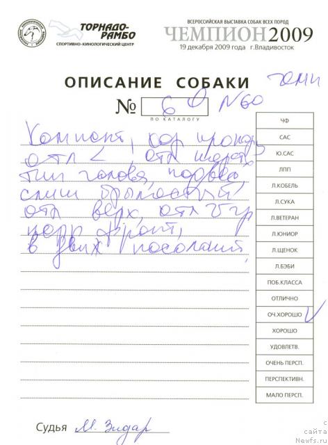 Фотография № 35831