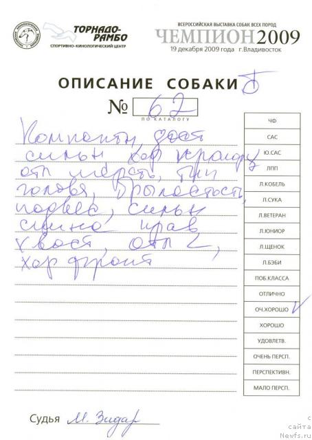 Фотография № 35832