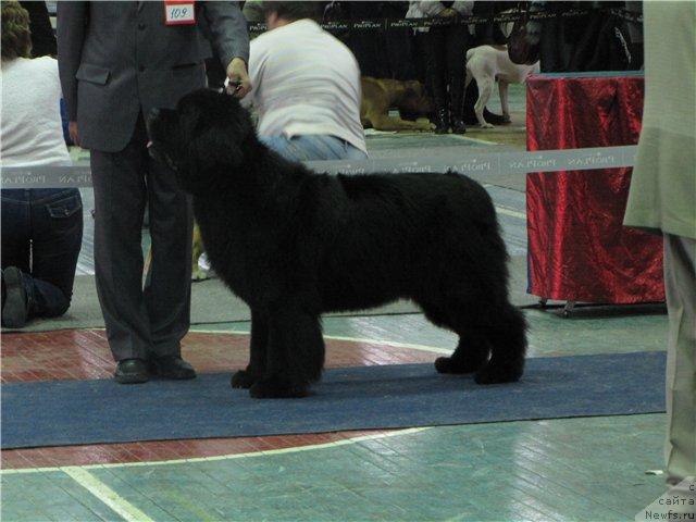 Фотография № 35836