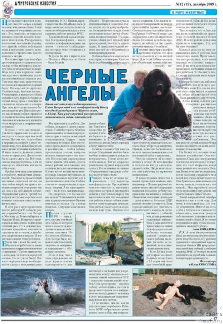 Фото: ньюфаундленд Пчёлкин Дом Восторг Души (Pchiolkin Dom Vostorg Dushi), ньюфаундленд Талула Белл (Talula Bell)