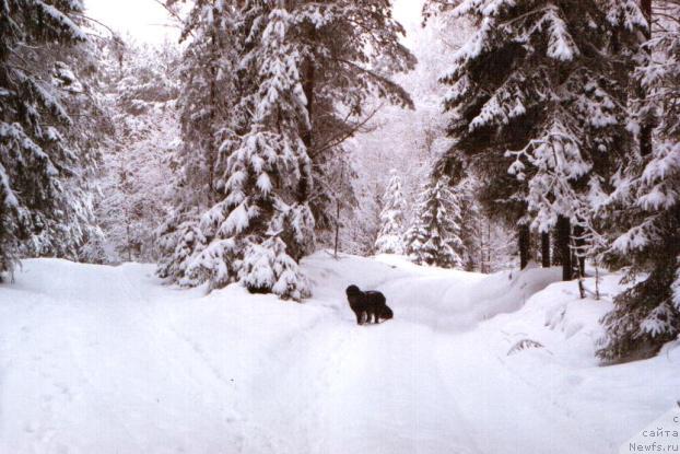 Фотография № 35905