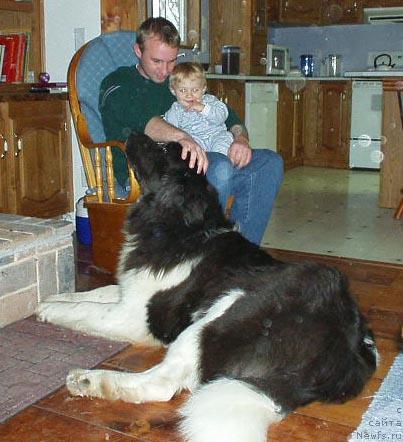 Фотография № 35915