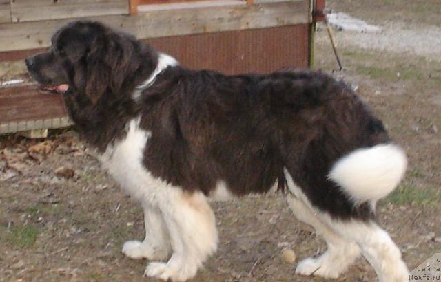 Фотография № 35916