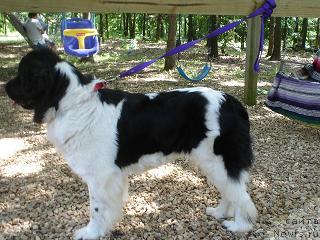 Фотография № 35918