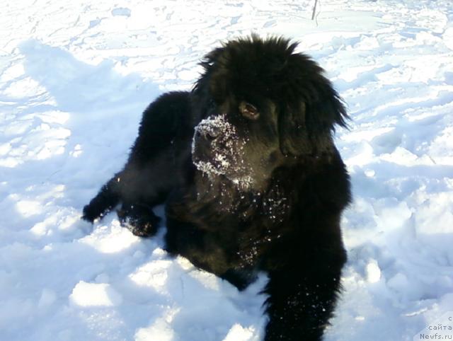 Фотография № 35928