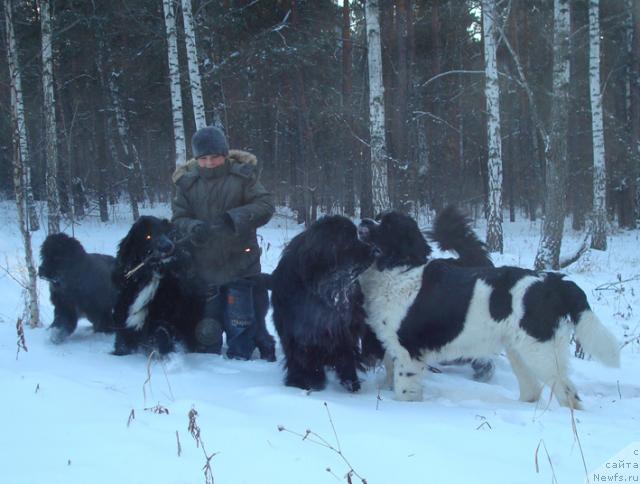 Фотография № 35953