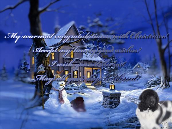 Фотография № 35999