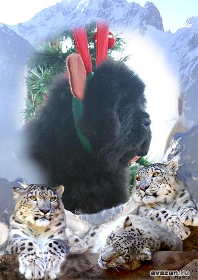 Фотография № 36068