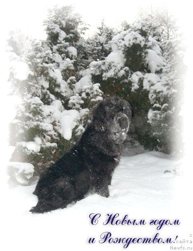 Фотография № 36099