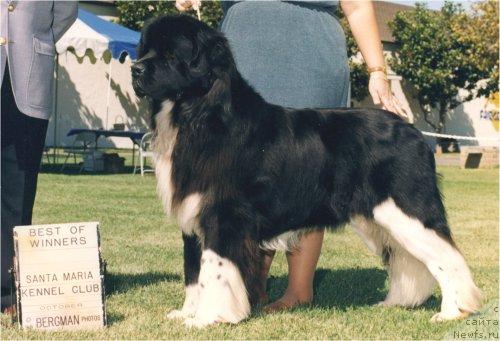 Фотография № 36103