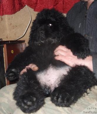 Фотография № 36179