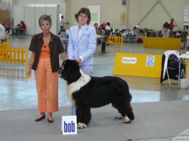 Фотография № 36197