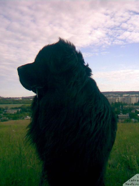 Фотография № 36234