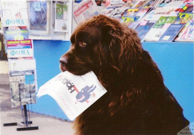 Фото: Ира Чистякова