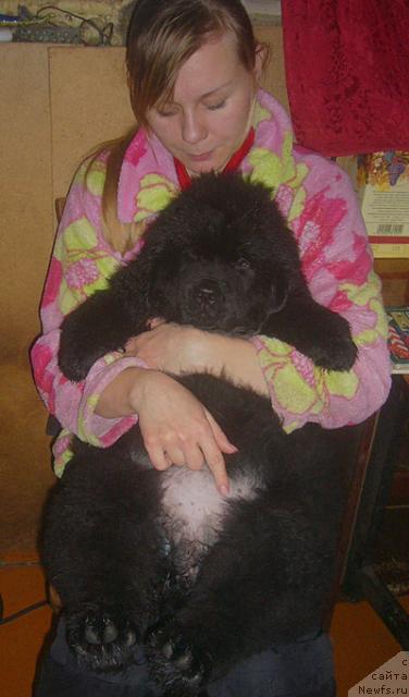 Фото: Анастасия Лоскутова, и Ньюфорт Магия Любви