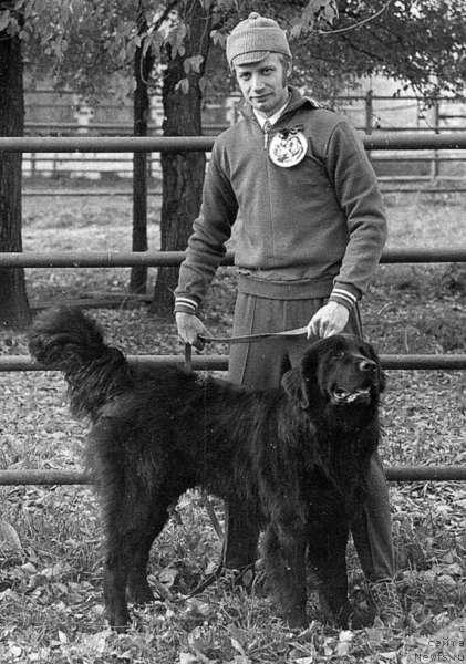 Фото: ньюфаундленд Глафи Рой