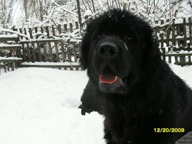 Фото: Роксана- Леди Совершенство