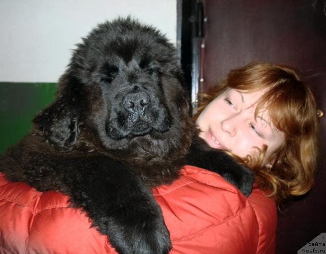 Фотография № 36438