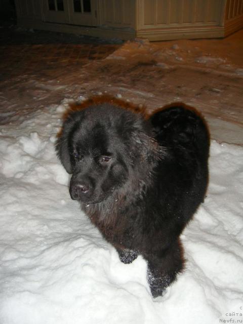 Фотография № 36520