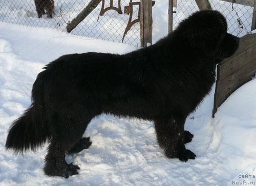 Фотография № 36567