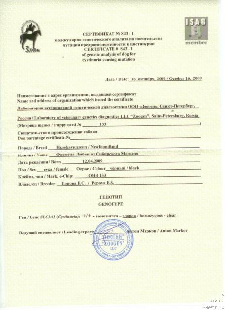 Фото: ньюфаундленд Формула Любви от Сибирского Медведя